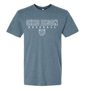 64000 OHIO BISON- HEATHER TEAL- UNISEX TEE YOUTH & ADULT- BISON BASEBALL- WHITE ONLY