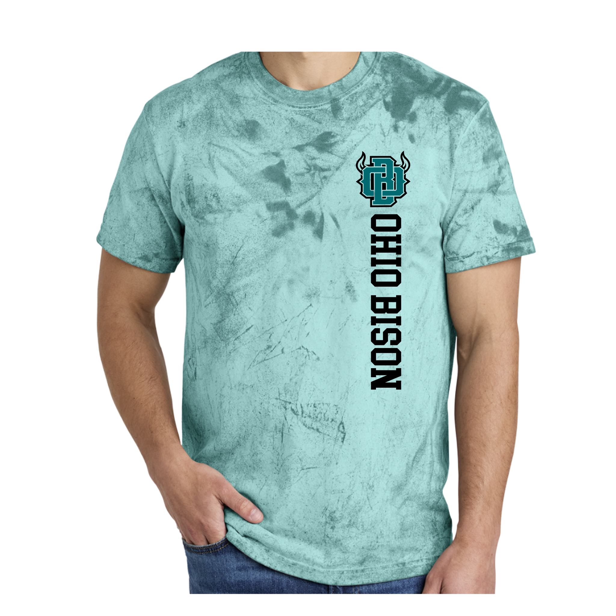 1745- OHIO BISON - TEES - TEAL Blast- LC SIDE PRINT