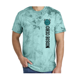 1745- OHIO BISON - TEES - TEAL Blast- LC SIDE PRINT