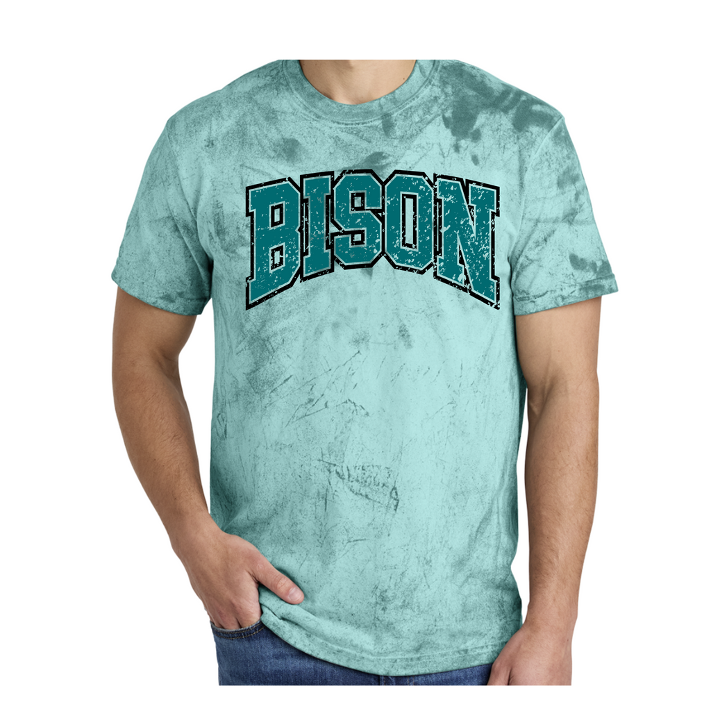 1745- OHIO BISON - TEES - TEAL Blast- BISON VARSITY