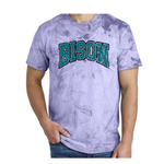 1745- OHIO BISON - TEES & SWEATSHIRTS- PURPLE Blast- BISON VARSITY