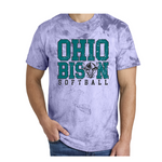 1745- OHIO BISON - TEES & SWEATSHIRTS- PURPLE Blast- OHIO BISON BLOCK SOFTBALL