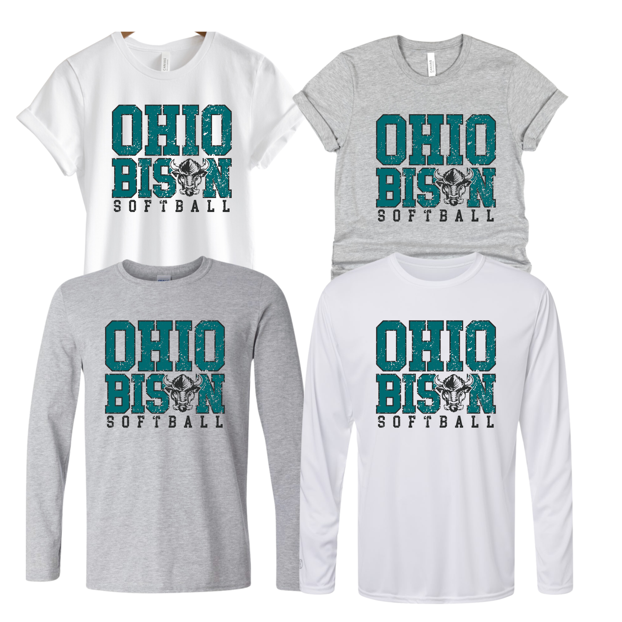 64000 OHIO BISON- UNISEX TEE YOUTH & ADULT- BISON BLOCK- SOFTBALL