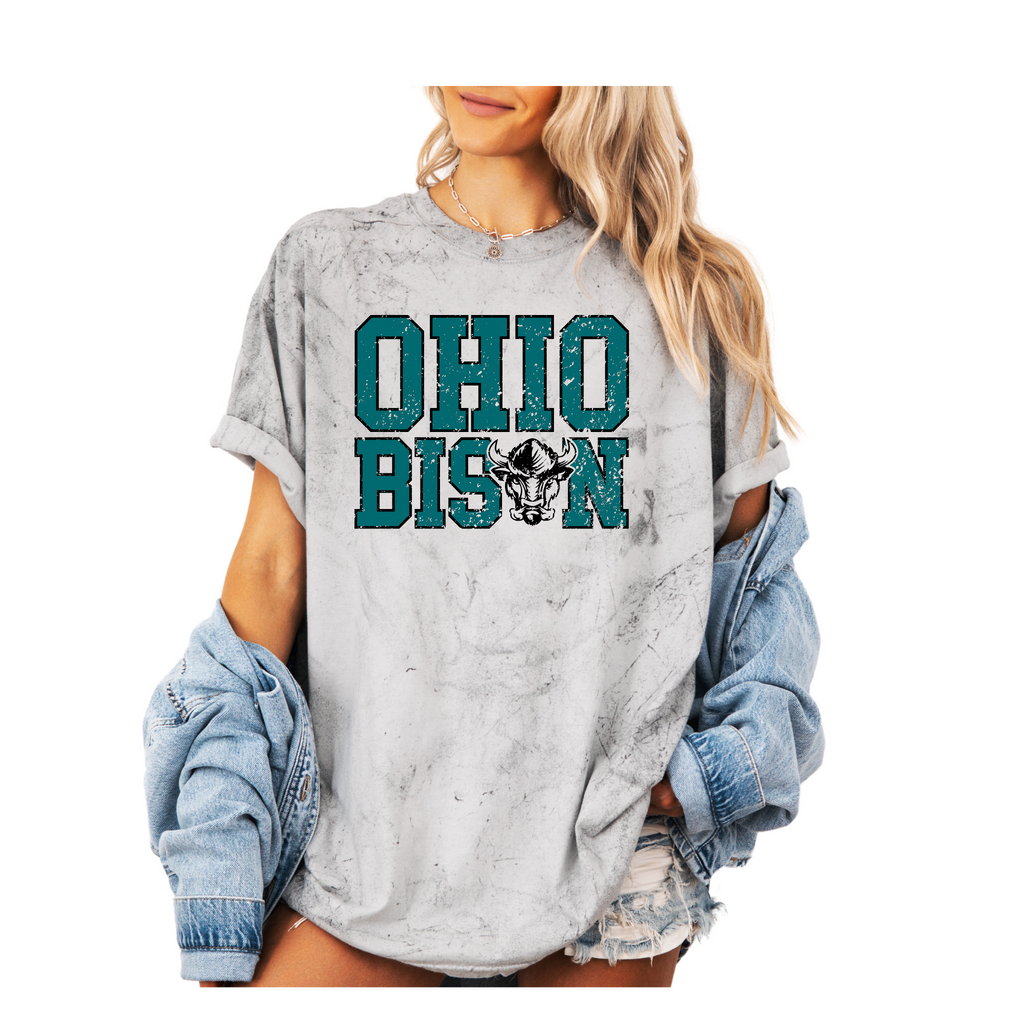 1745- OHIO BISON - TEES & SWEATSHIRTS- Black Blast- BISON BLOCK